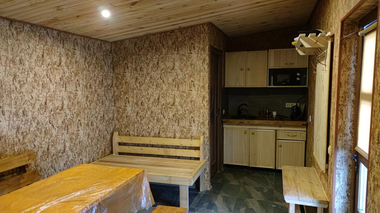Дом С Бассейном И Сауной Villa Boryspil Ngoại thất bức ảnh